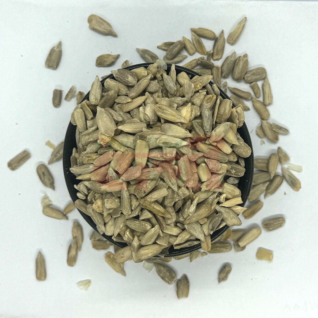 সূর্যমুখী বীজ