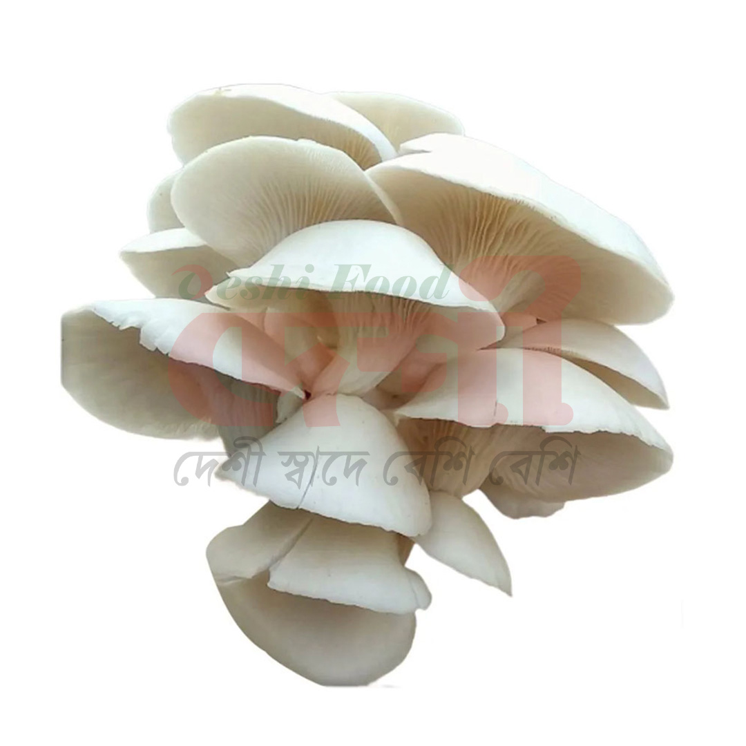 ওয়েস্টার মাশরুম