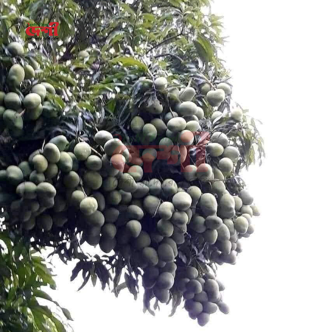 কাঁচা বা আচারের আম